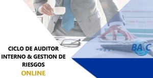 CICLO DE AUDITOR INTERNO Y GESTOR DE RIESGOS | ON LINE